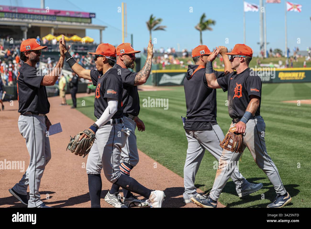 North Port FL USA; i giocatori dei Detroit Tigers danno il massimo nella vittoria contro gli Atlanta Braves durante una partita di allenamento primaverile della MLB al CoolToday Park. I Tigers batterono i Braves per 3-1. (Kim Hukari/immagine dello sport) Foto Stock