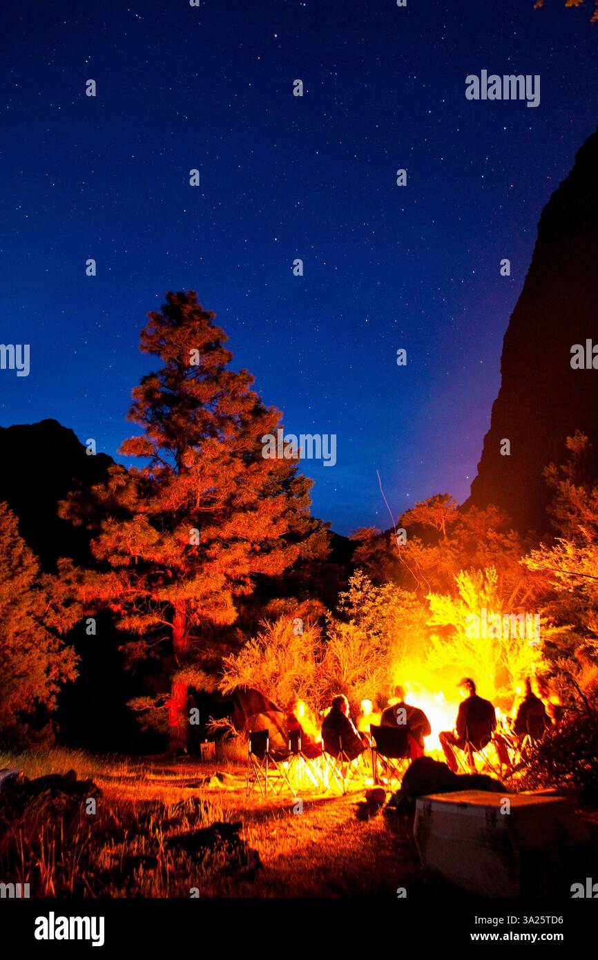 Falò con travi sul Middle Fork Salmon River, Idaho. Foto Stock