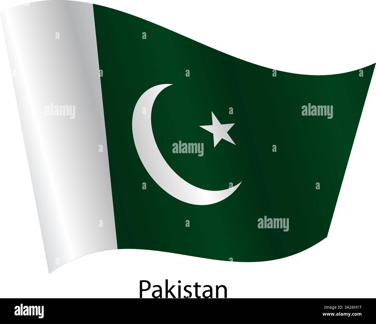 Bandiera del paese Pakistan su sfondo bianco. Illustrazione Vettoriale