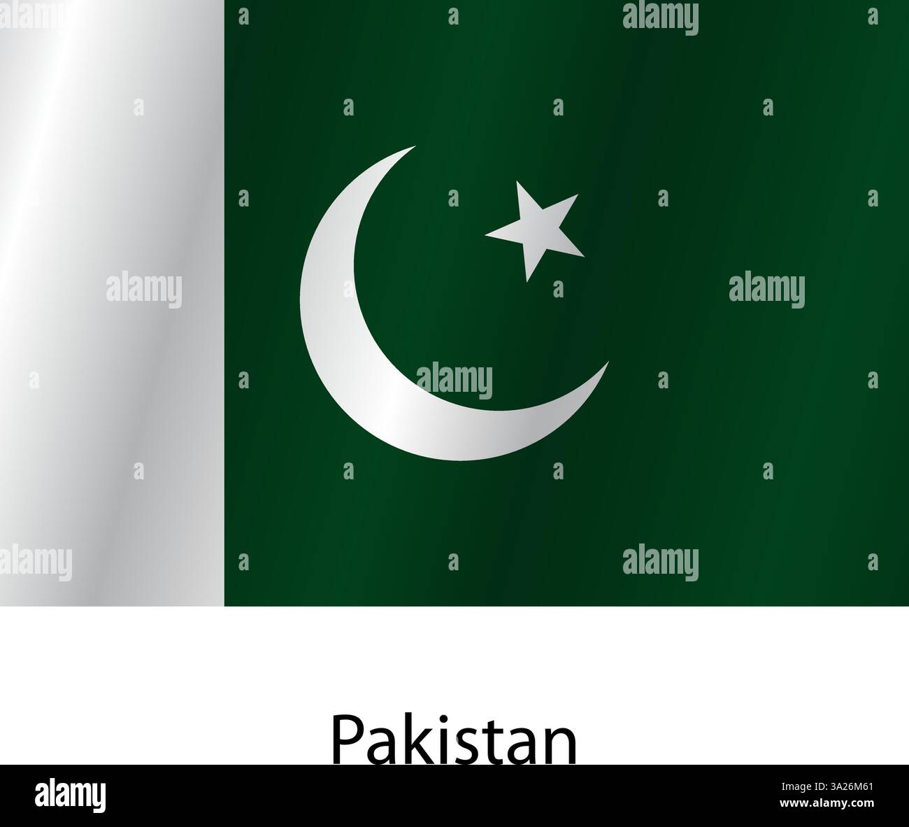 Bandiera del paese Pakistan su sfondo bianco. Illustrazione Vettoriale
