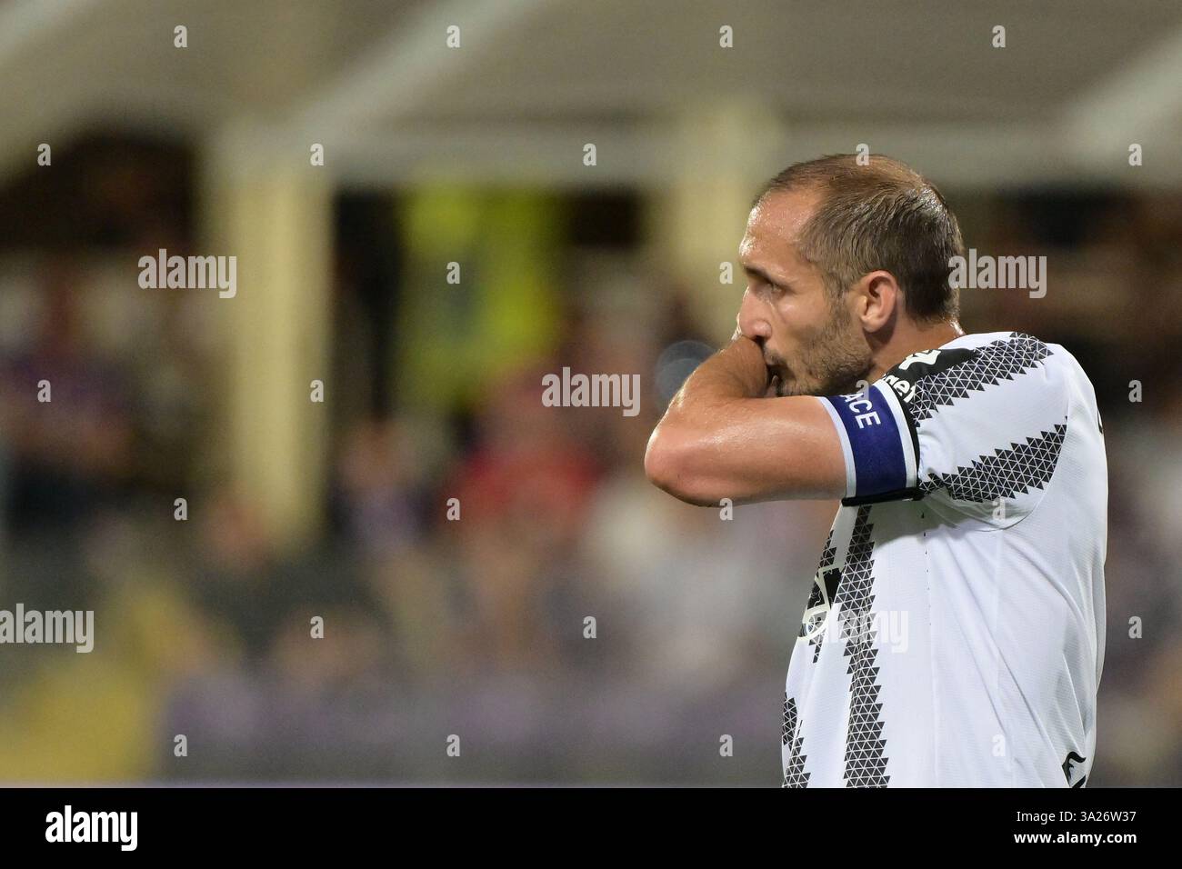 Foto Alfredo Falcone / LaPresse21/05/2022 Firenze, Italia Sport calcio Fiorentina-Juventus - Campionato di calcio serie A 2021/2022 - Stadio Artemio Franchi di Firenze nella foto: giorgio chiellini foto Alfredo Falcone / LaPresse 21/05/2022 Firenze, Italia Sport calcio Fiorentina-Juventus - Campionato Italiano di calcio A 2021/2022 - Stadio Artemio Franchi di Firenze nella foto: giorgio chiellini Foto Stock