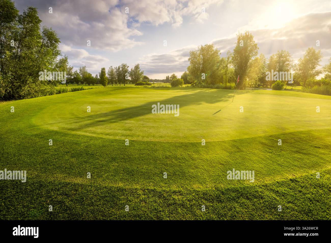 Un campo da golf olandese con un verde e splendidi colori dell'erba verde e degli alberi Foto Stock Un campo da golf olandese con un verde e splendidi colori dell'erba verde e degli alberi Foto Stock