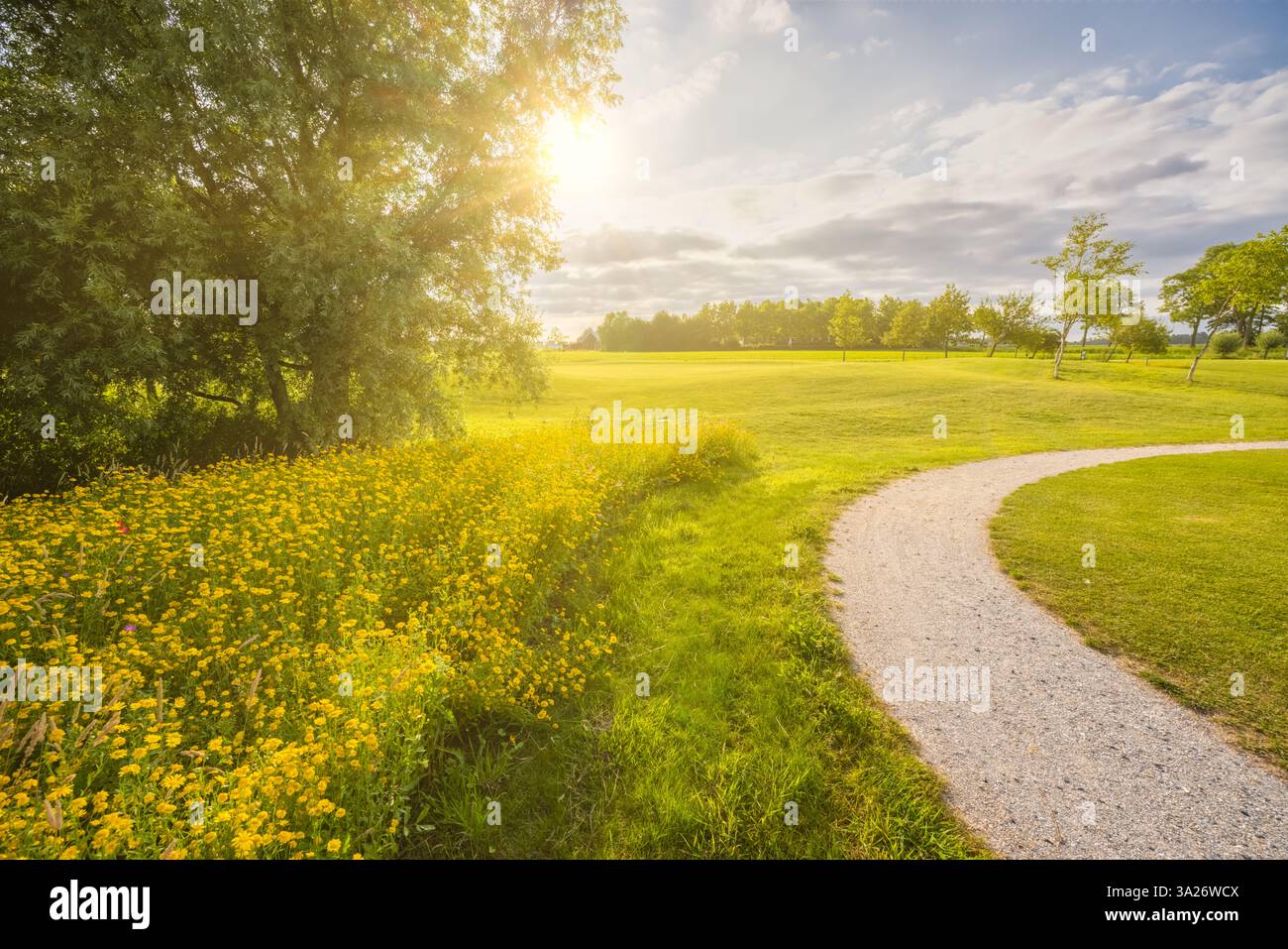 Un campo da golf olandese con un verde e splendidi colori dell'erba verde e degli alberi Foto Stock Un campo da golf olandese con un verde e splendidi colori dell'erba verde e degli alberi Foto Stock