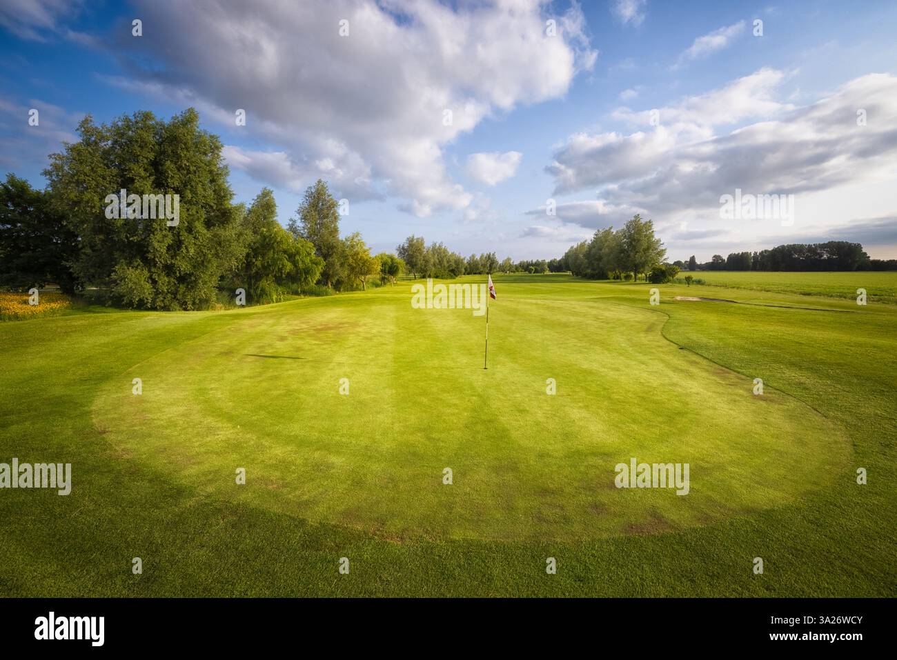 Un campo da golf olandese con un verde e splendidi colori dell'erba verde e degli alberi Foto Stock Un campo da golf olandese con un verde e splendidi colori dell'erba verde e degli alberi Foto Stock