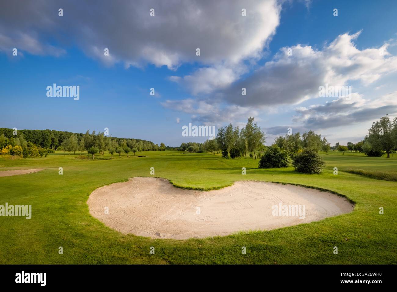 Un campo da golf olandese con un verde e splendidi colori dell'erba verde e degli alberi Foto Stock Un campo da golf olandese con un verde e splendidi colori dell'erba verde e degli alberi Foto Stock
