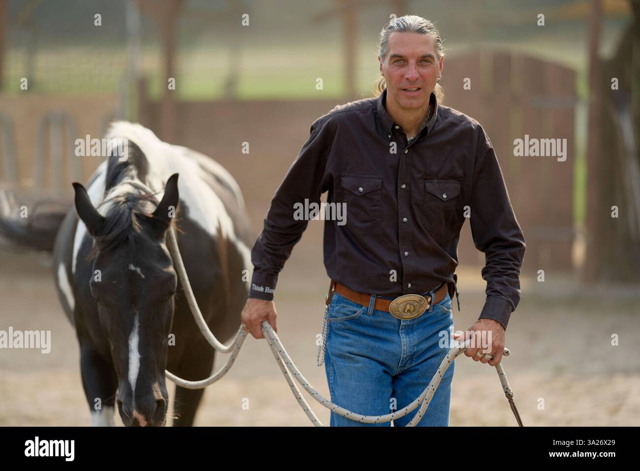 Uomo con un cavallo in un ranch corral, indossa una camicia nera e jeans con fibbia argento. Brandeburgo, Germania Foto Stock