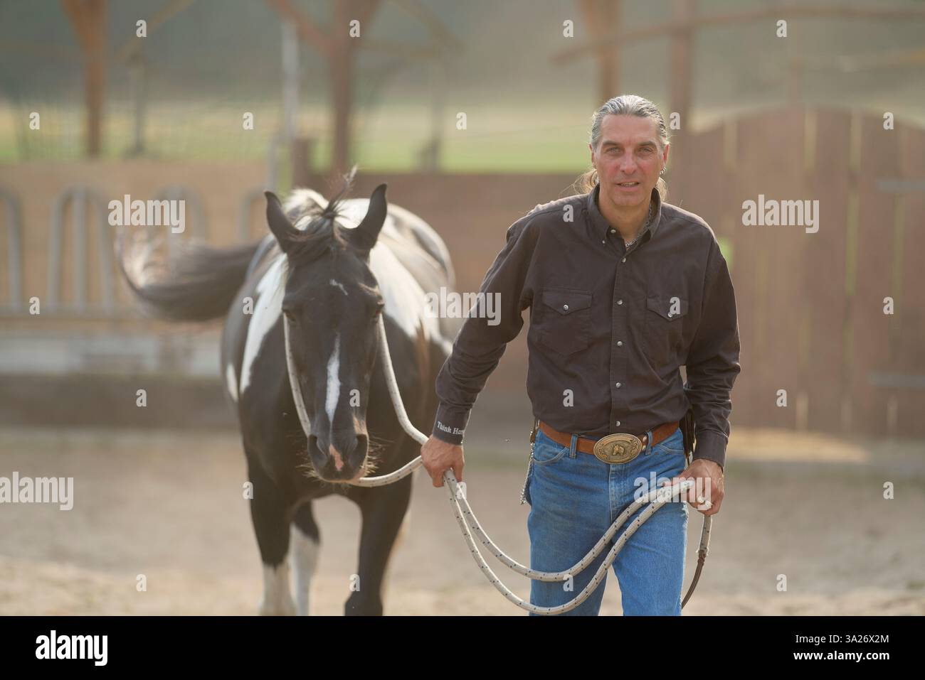 Uomo con un cavallo in un ranch corral, indossa una camicia nera e jeans con fibbia argento. Brandeburgo, Germania Foto Stock