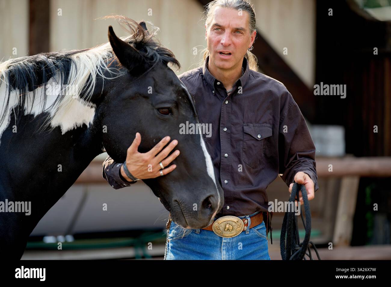 Uomo in denim e camicia scura che tiene affettuosamente un cavallo bianco e nero all'aperto. Brandeburgo, Germania Foto Stock
