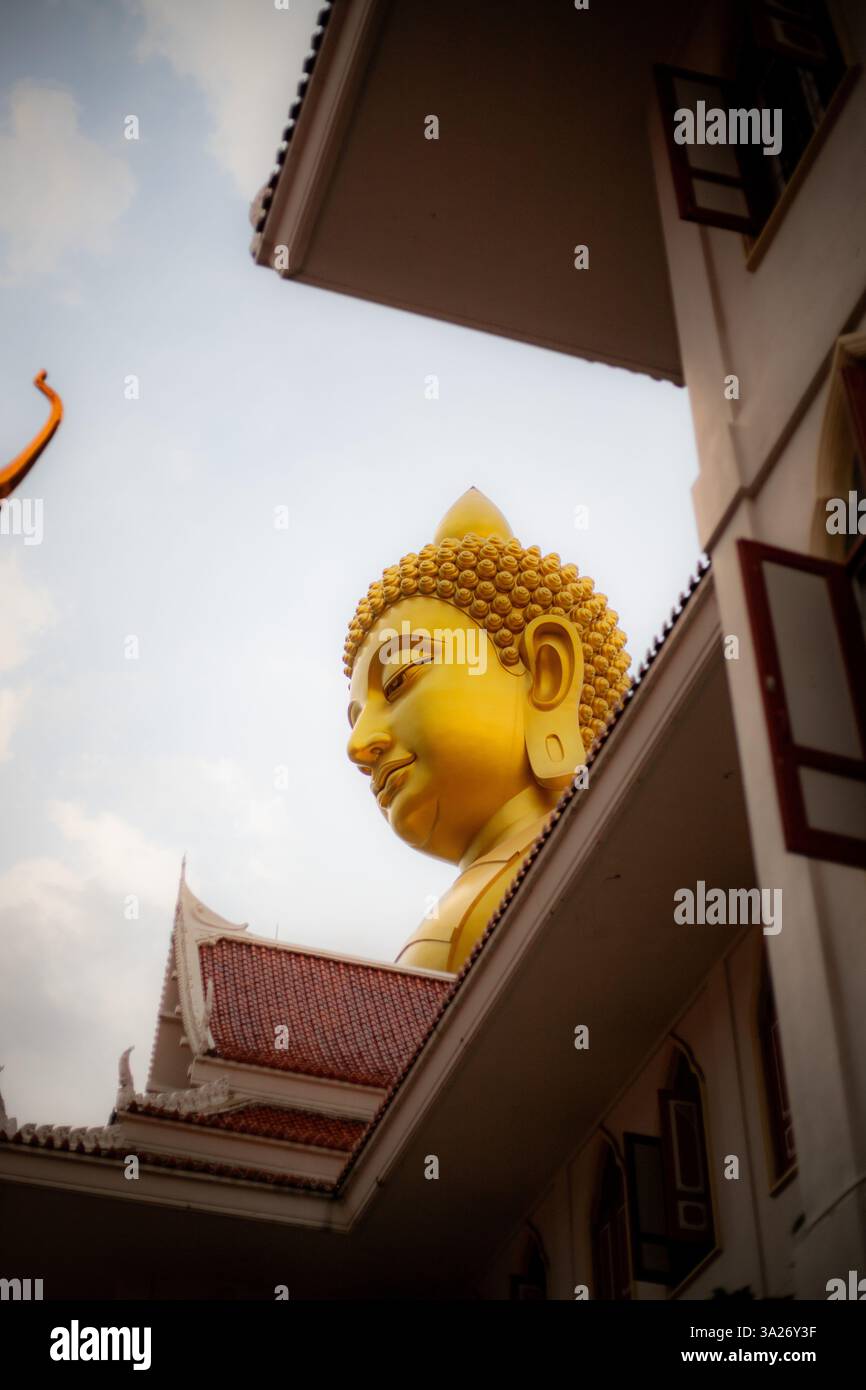 Thailandia viaggio natura bangkok kao sok Foto Stock