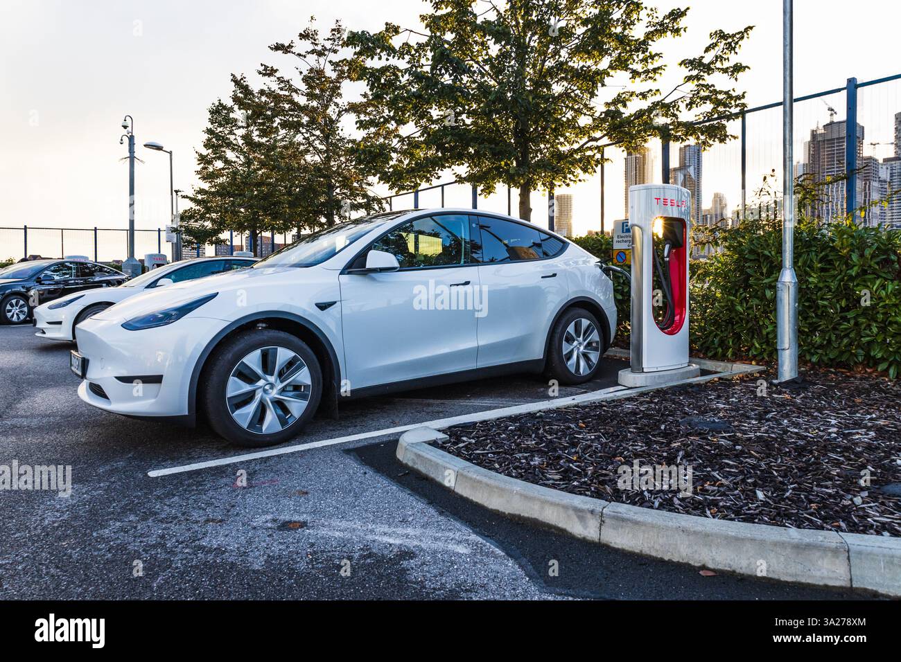 Ricarica di auto elettriche Tesla bianche presso una stazione Supercharger. Londra, Regno Unito, 14 ottobre 2023 Foto Stock