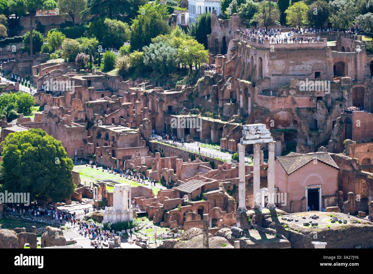 Vista delle antiche rovine di Roma vicino al Colosseo, Italia Foto Stock