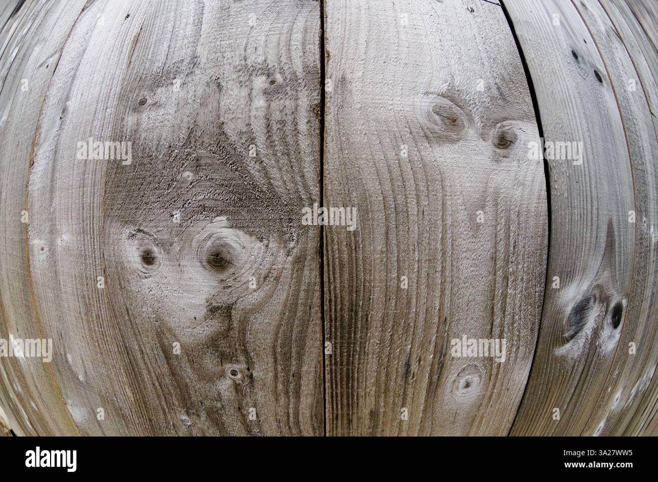 Tavole di legno intemprate mostrano motivi unici creati da elementi naturali che riflettono la luce in un ambiente all'aperto sereno durante il giorno. Foto Stock