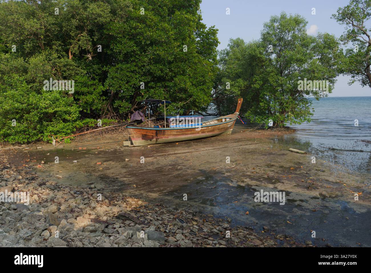 Una tradizionale barca a coda lunga in legno poggia sulla riva fangosa con la bassa marea, mentre è circondata da lussureggianti mangrovie verdi Foto Stock