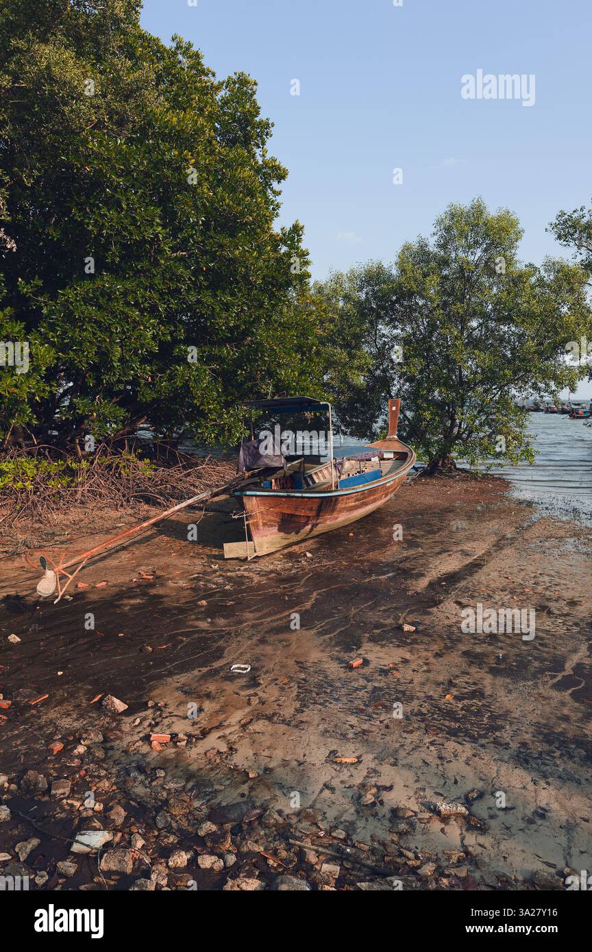 Una tradizionale barca a coda lunga in legno poggia sulla costa fangosa della East Railay Bay, circondata da lussureggianti mangrovie Foto Stock