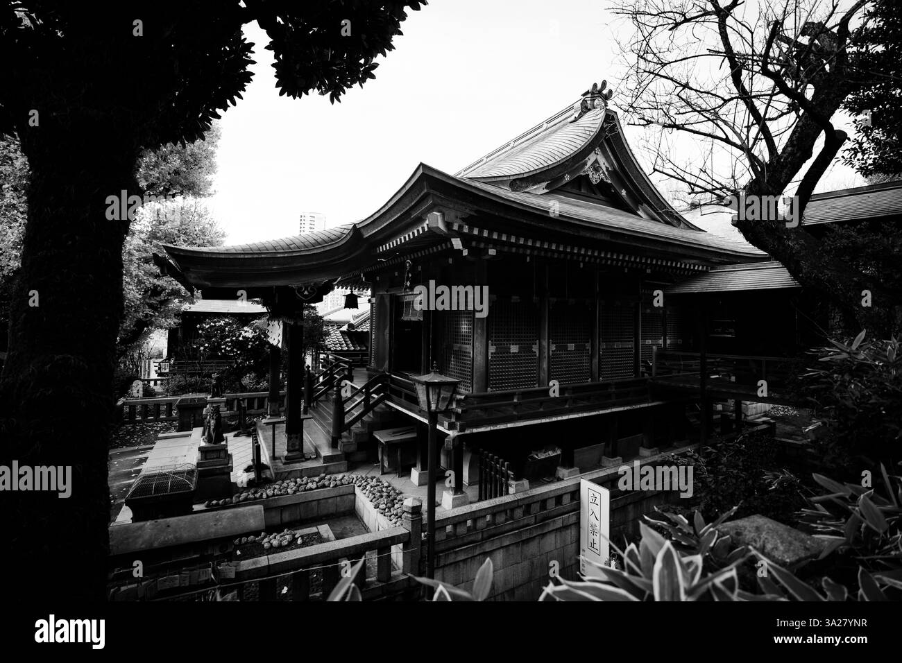 Il bellissimo Parco Ueno di Tokyo Foto Stock