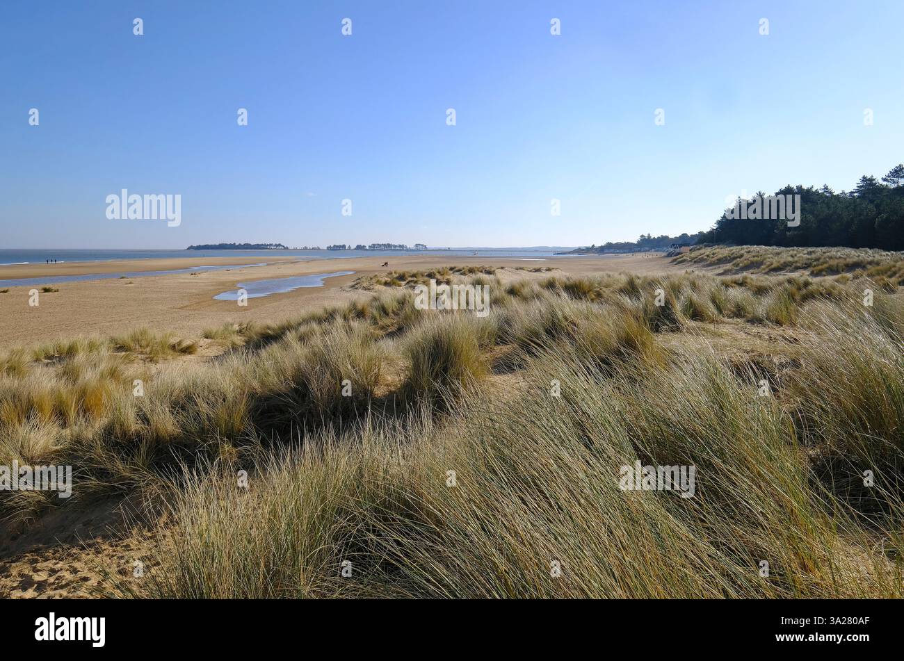 Holkham beach, a nord di Norfolk, Inghilterra Foto Stock