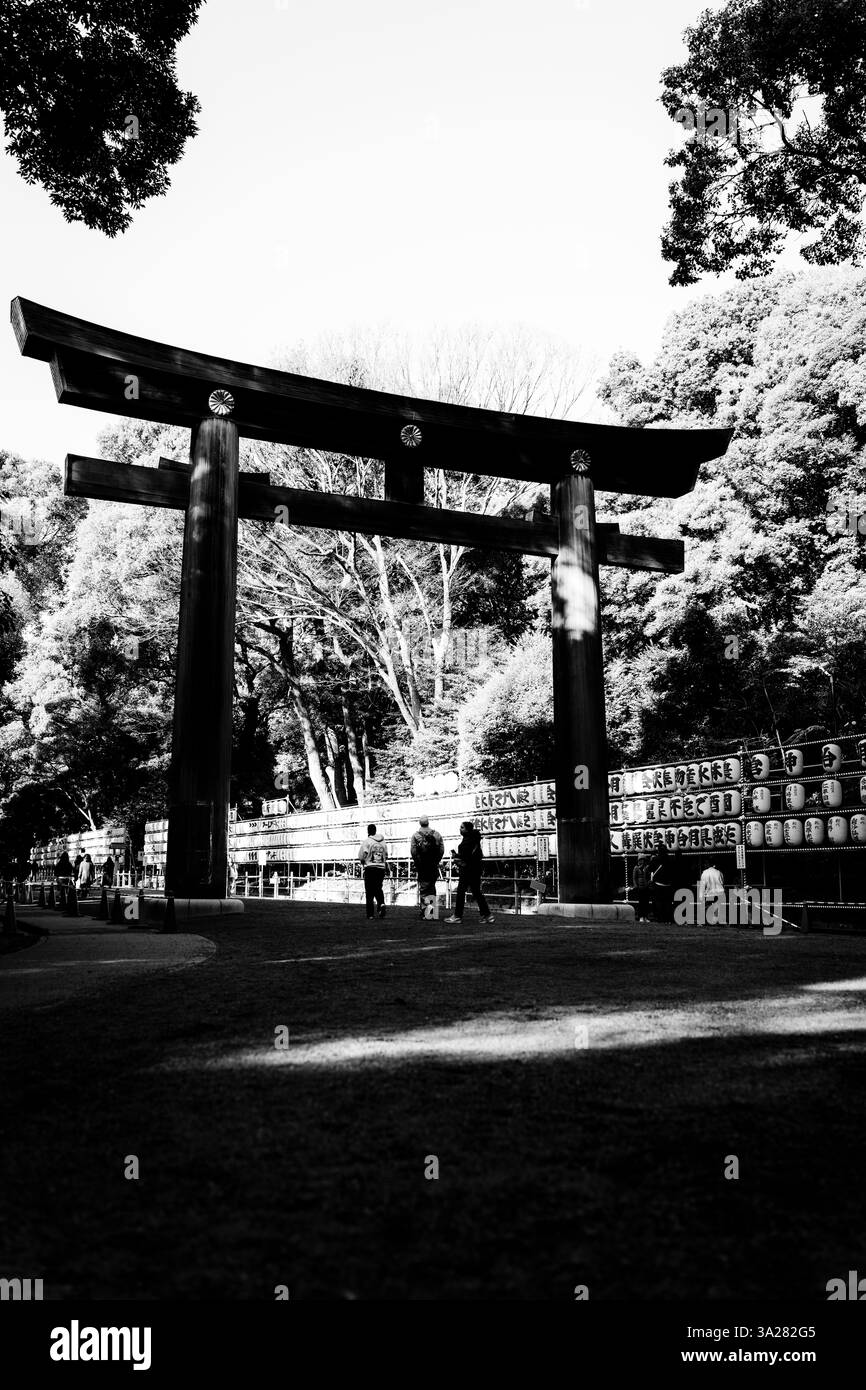 Santuario Meiji Jingu, Tokyo Foto Stock
