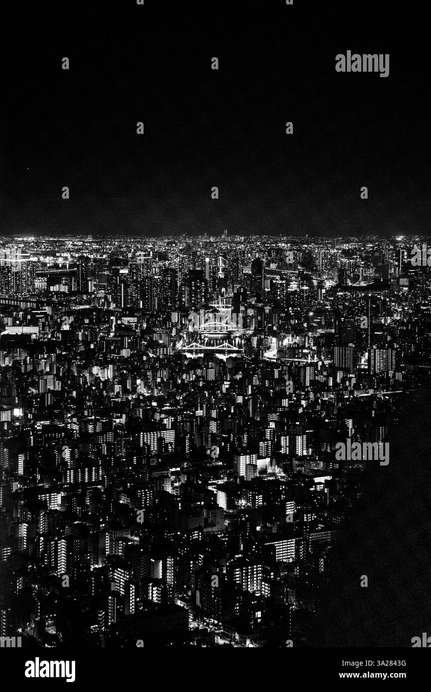 Vista di Tokyo dal Tokyo Skytree Foto Stock