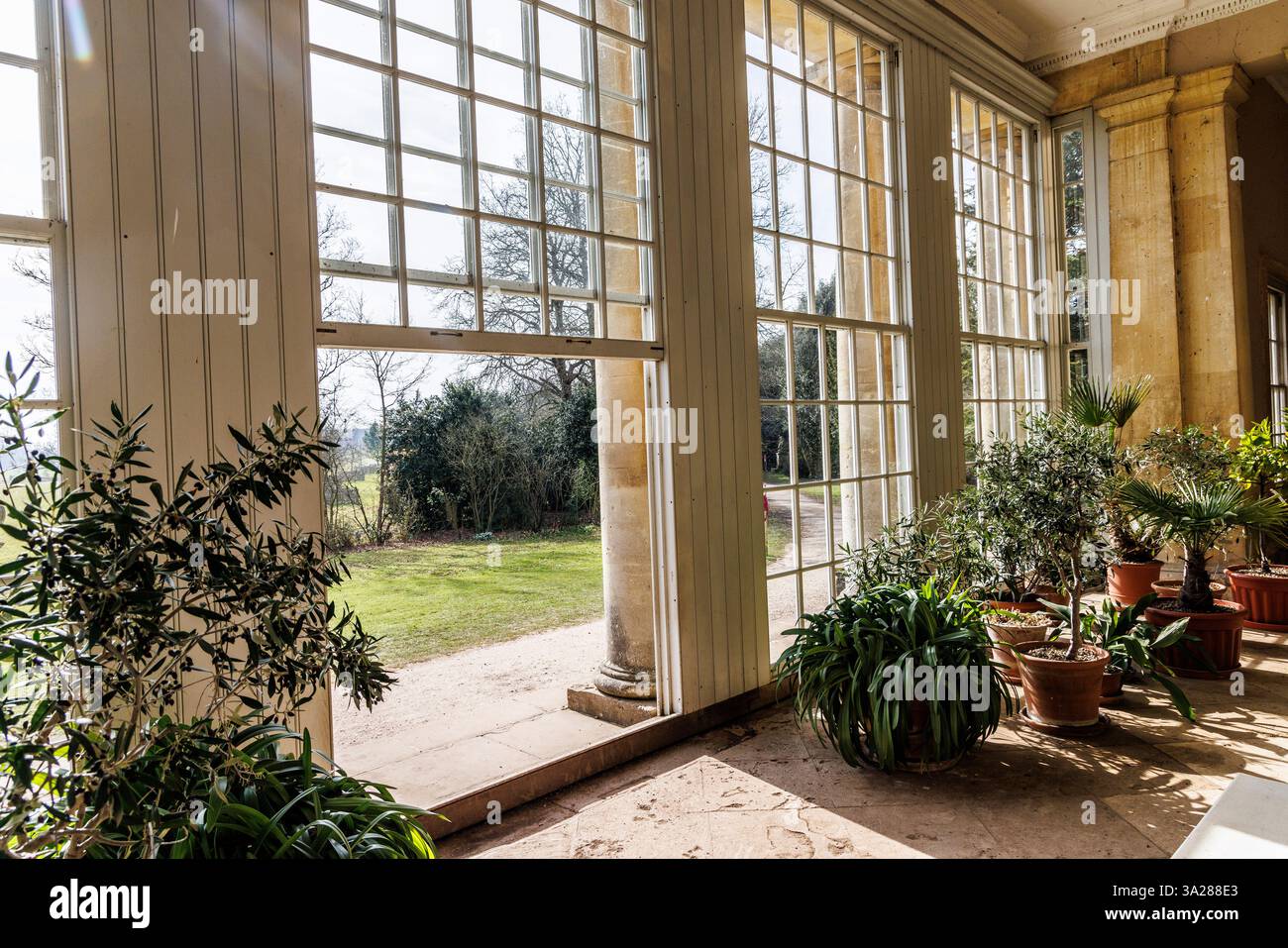 Greenhouse, Croome, Worcestershire, Inghilterra, Regno Unito Foto Stock