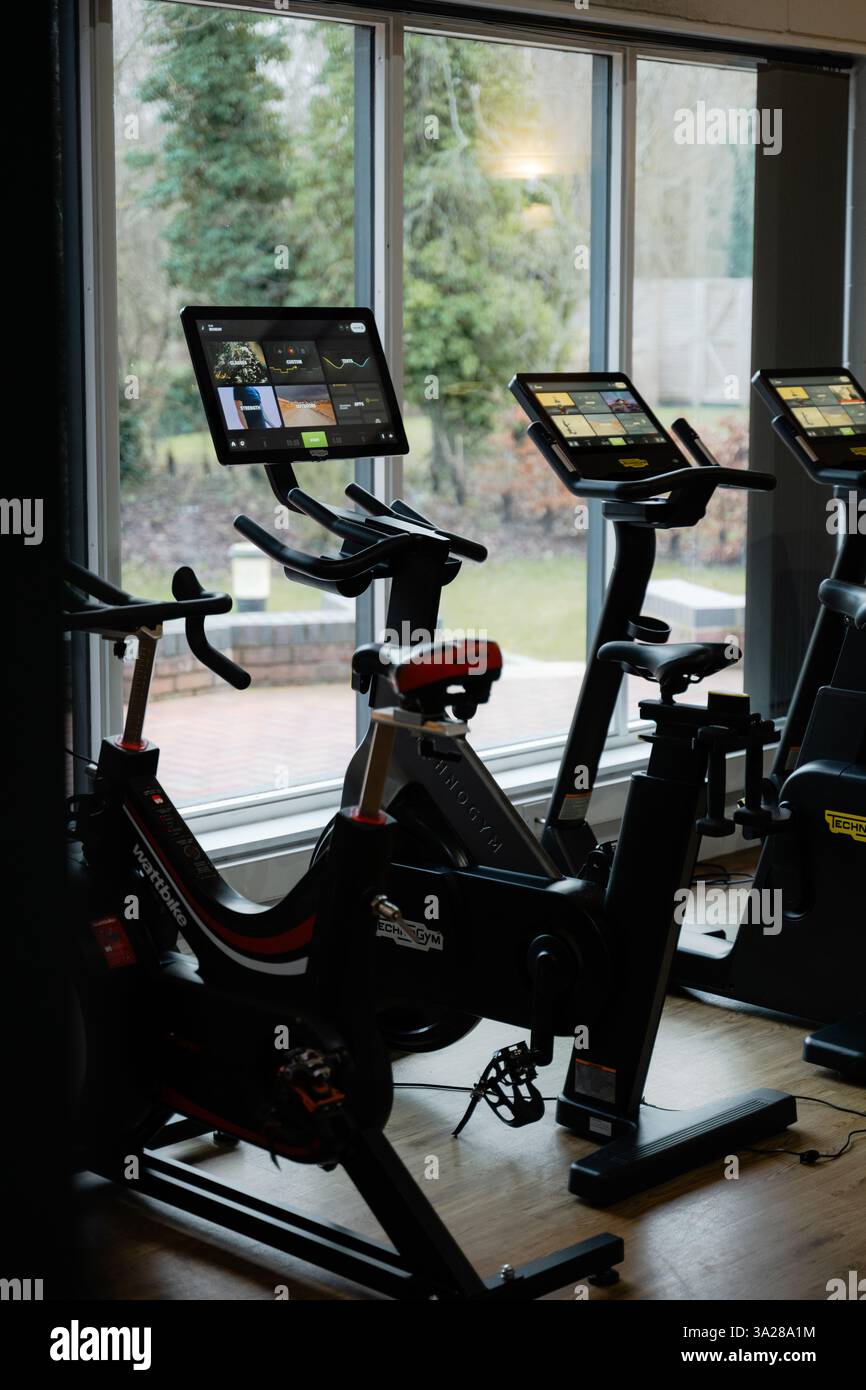 Una fila di cyclette è allineata in una palestra. Le moto sono tutte di dimensioni e colori diversi, ma hanno tutte lo stesso design di base Foto Stock