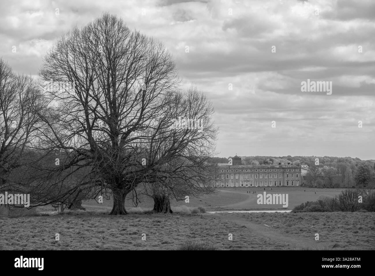 Petworth House West Sussex Inghilterra una casa di campagna classificata di grado 1 del tardo XVII secolo costruita nel 1688 da Charles Seymour Foto Stock