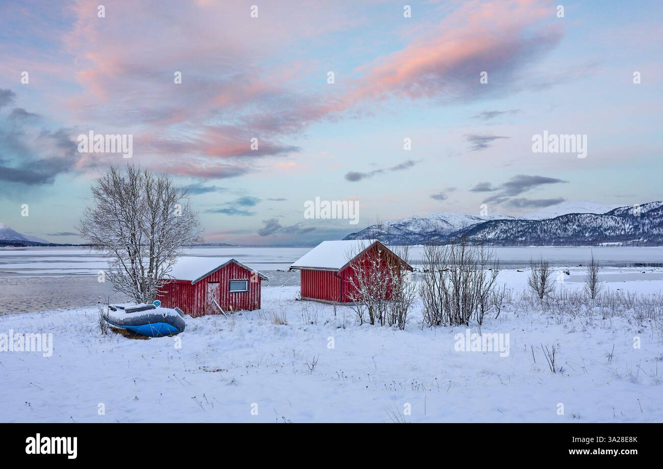 Paesaggio costiero invernale mooso vicino a Gibostad sull'isola di Senja nel nord della Norvegia Foto Stock