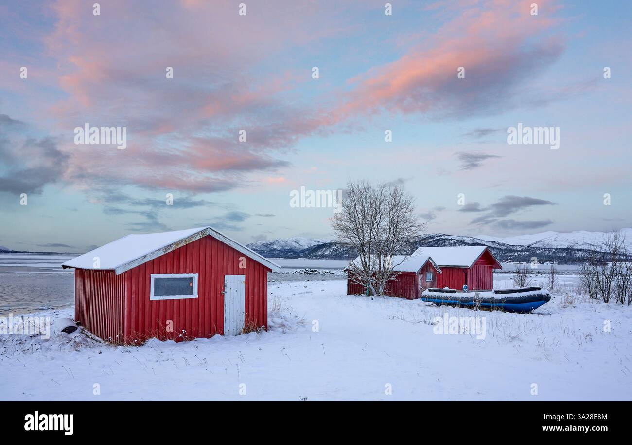 Paesaggio costiero invernale mooso vicino a Gibostad sull'isola di Senja nel nord della Norvegia Foto Stock