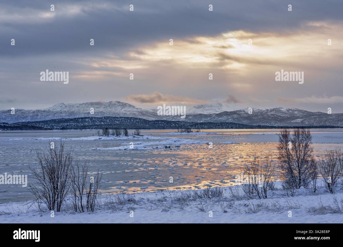 Paesaggio costiero invernale mooso vicino a Gibostad sull'isola di Senja nel nord della Norvegia Foto Stock