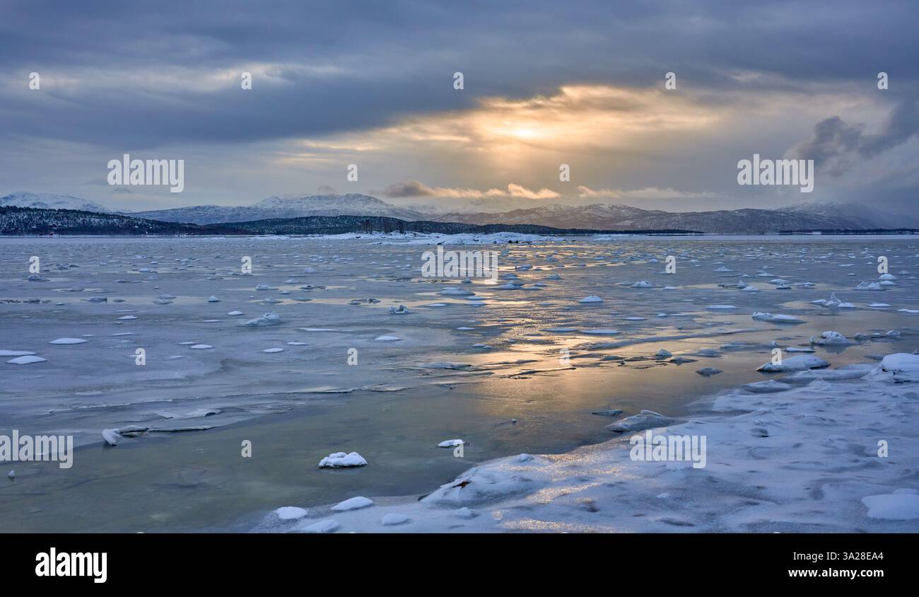 Paesaggio costiero invernale mooso vicino a Gibostad sull'isola di Senja nel nord della Norvegia Foto Stock