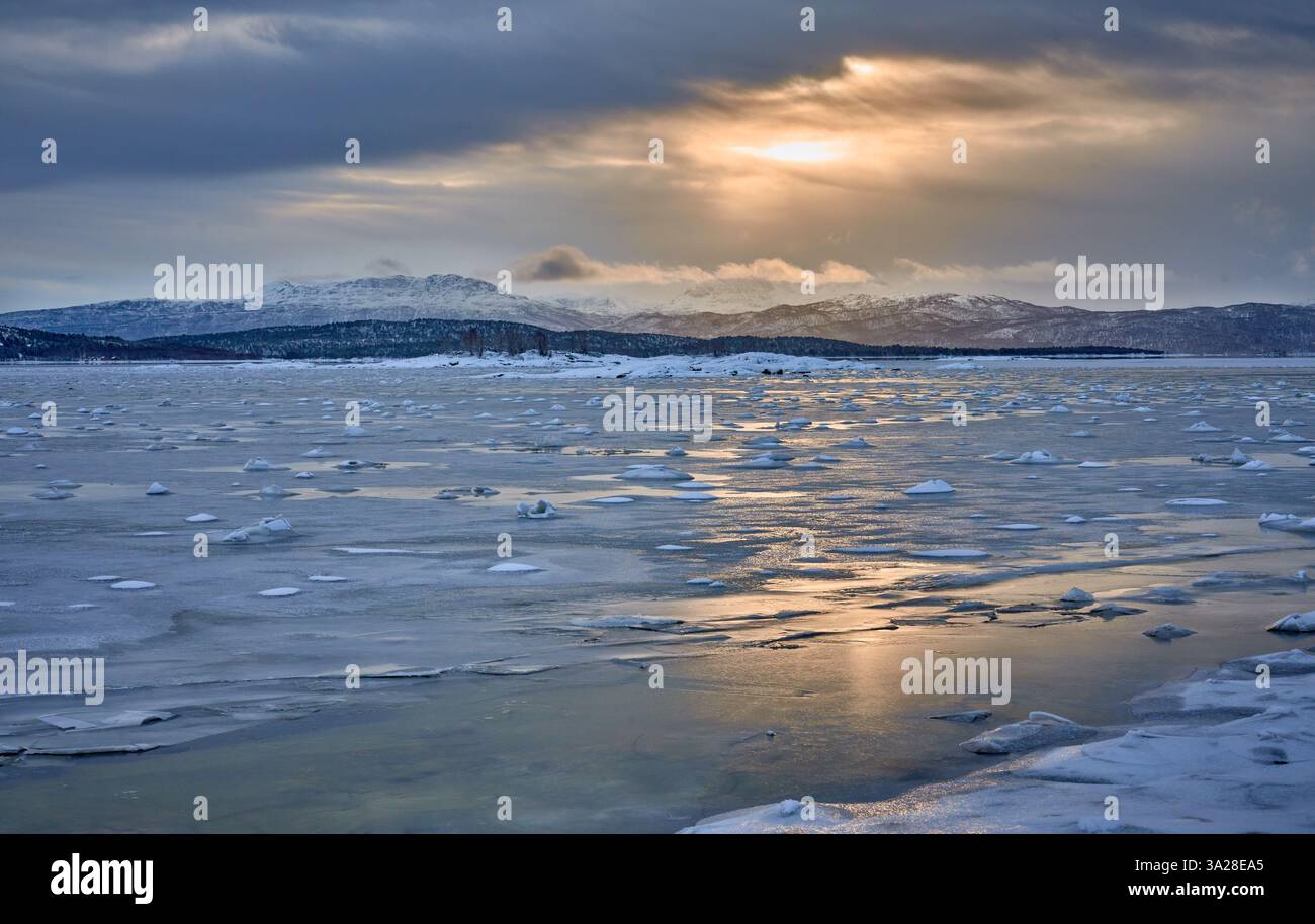 Paesaggio costiero invernale mooso vicino a Gibostad sull'isola di Senja nel nord della Norvegia Foto Stock
