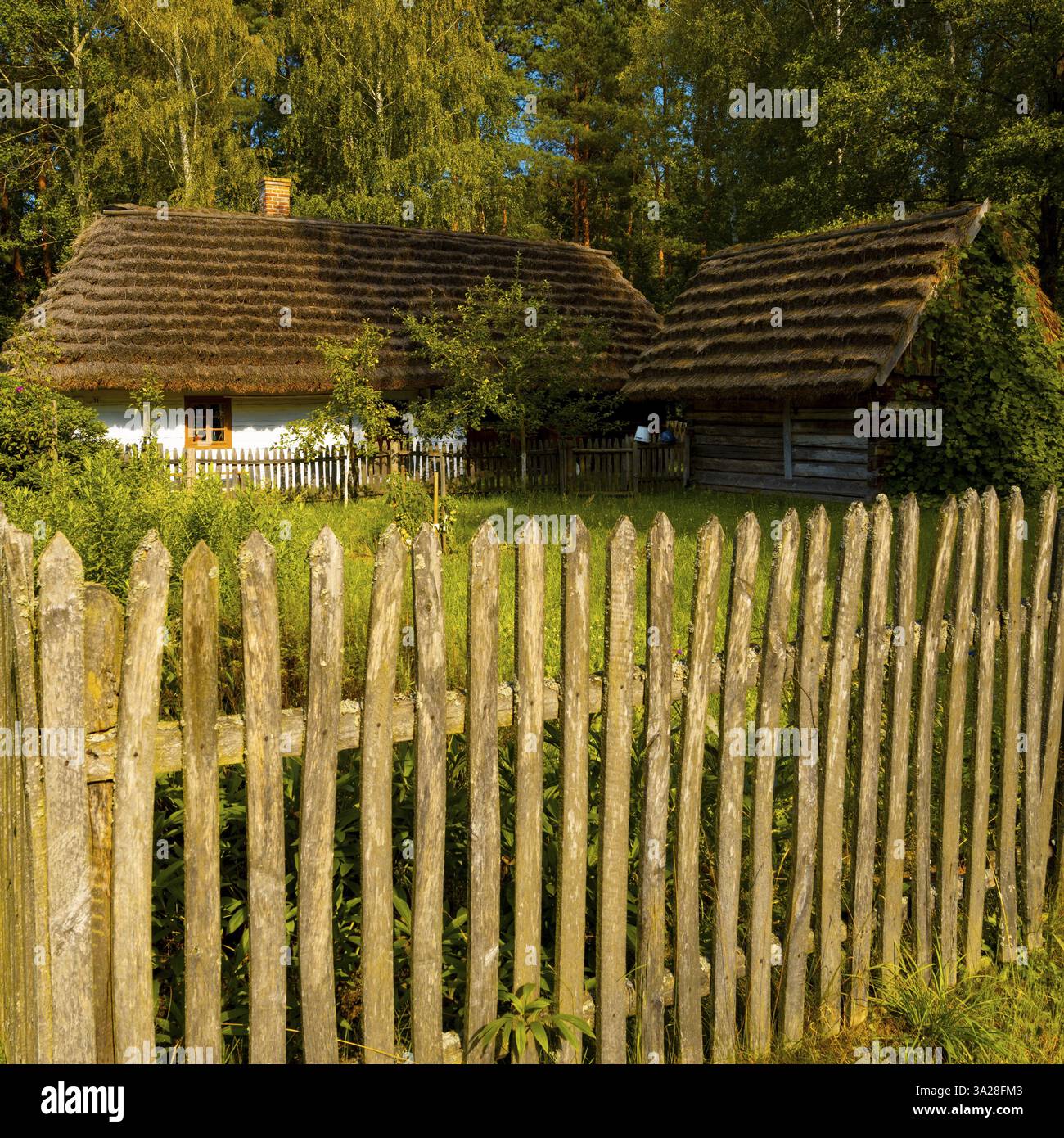 Splendidi paesaggi autunnali in Transcarpathia Foto Stock