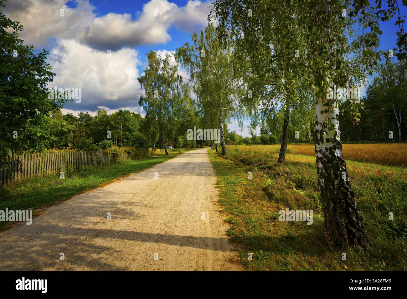 Splendidi paesaggi autunnali in Transcarpathia Foto Stock