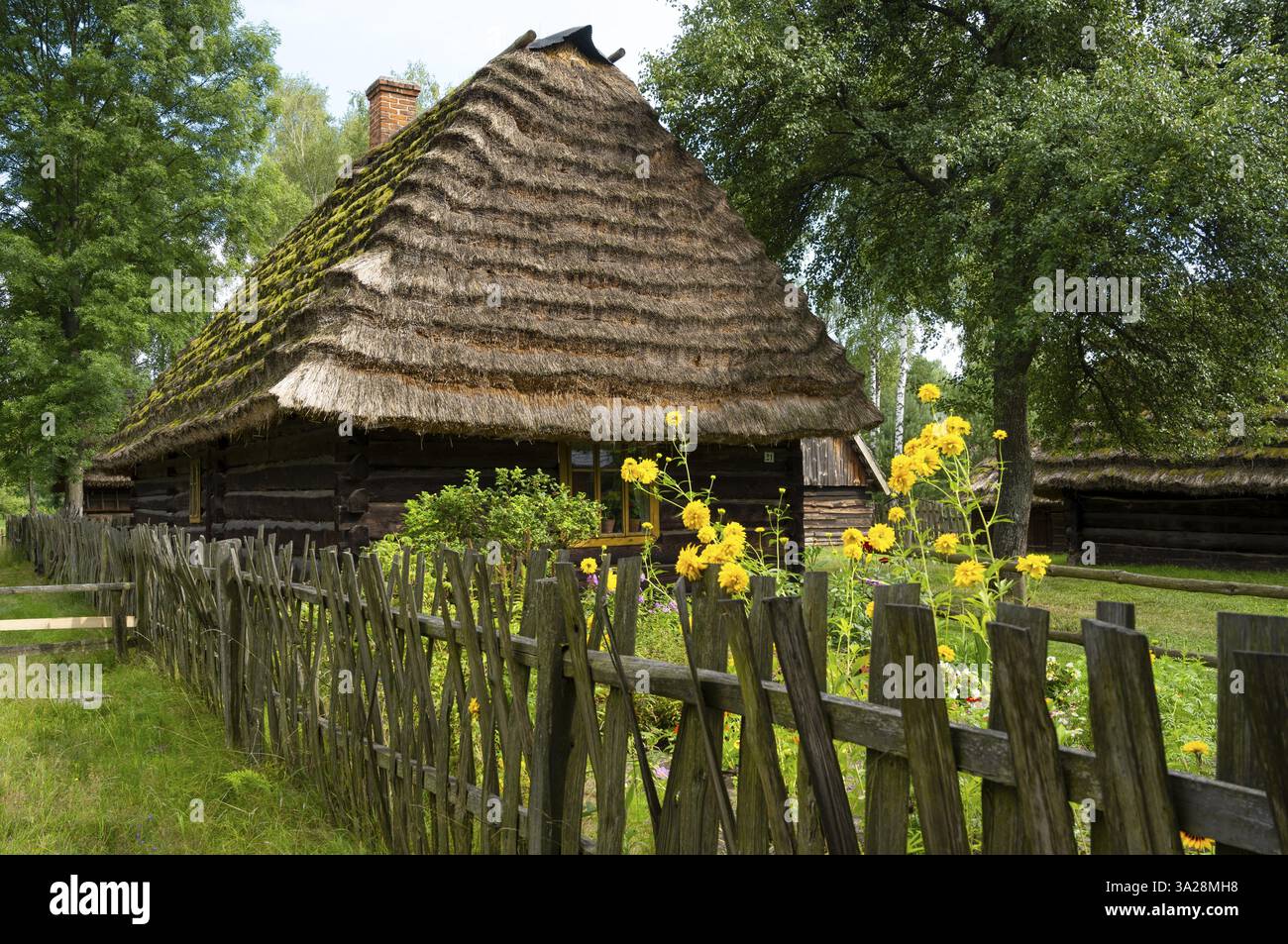 Splendidi paesaggi autunnali in Transcarpathia Foto Stock
