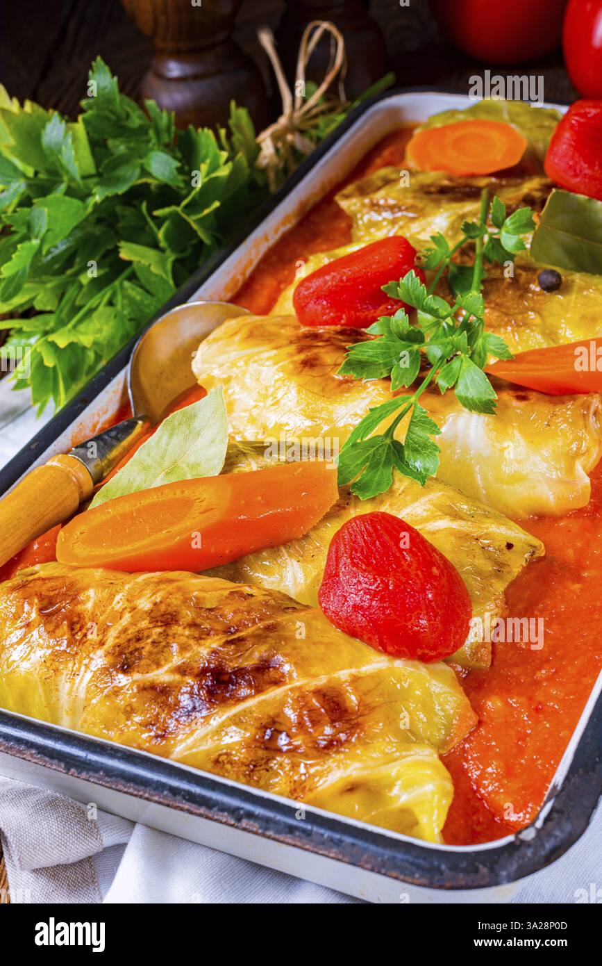 Involtini di cavolo con salsa di pomodoro Foto Stock