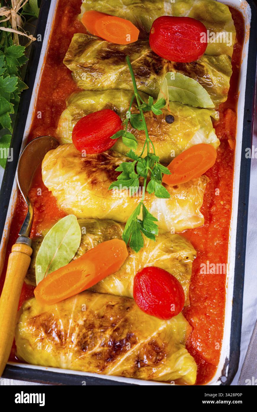 Involtini di cavolo con salsa di pomodoro Foto Stock