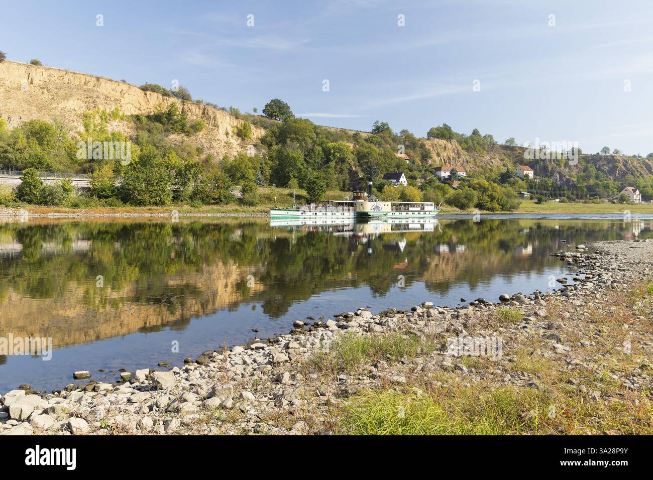 Pagaia a vapore Krippen sull'Elba a valle di Meissen, sullo sfondo il villaggio di Karpfenschaenke, Diera-Zehren, Sassonia, Germania, Europa Foto Stock