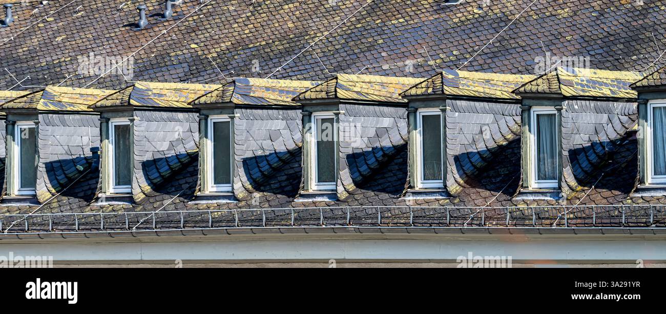 Tetto storico con finestre dormitori dal design artistico, ricoperte da piastrelle di ardesia disposte in modo complesso. La patina scura e la crescita di muschio sul ro Foto Stock