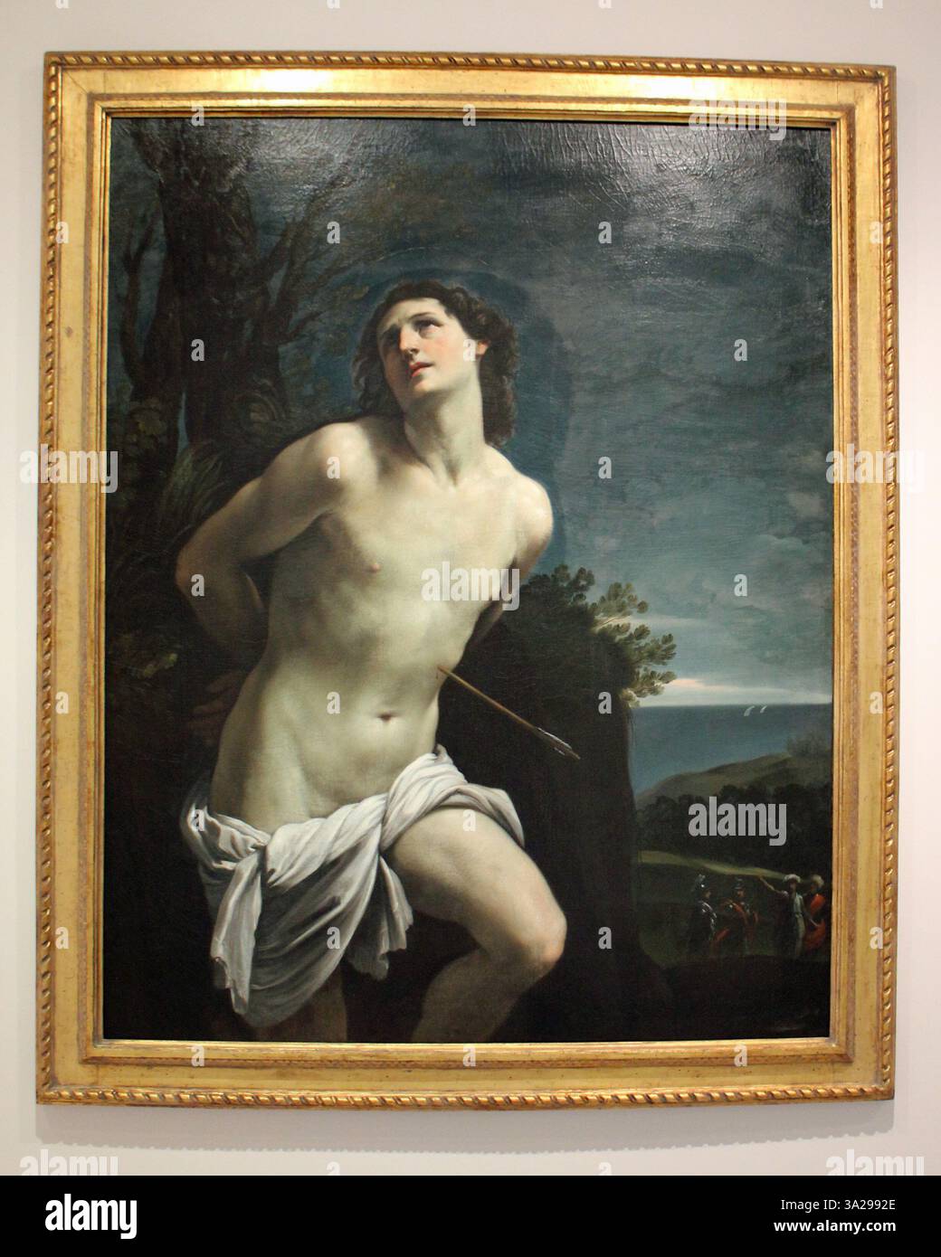 La raffigurazione di San Sebastiano di Guido reni mette in mostra la sua maestria barocca, concentrandosi sulla sofferenza del martire, mentre usa la luce per aumentare l'intensità emotiva. Foto Stock