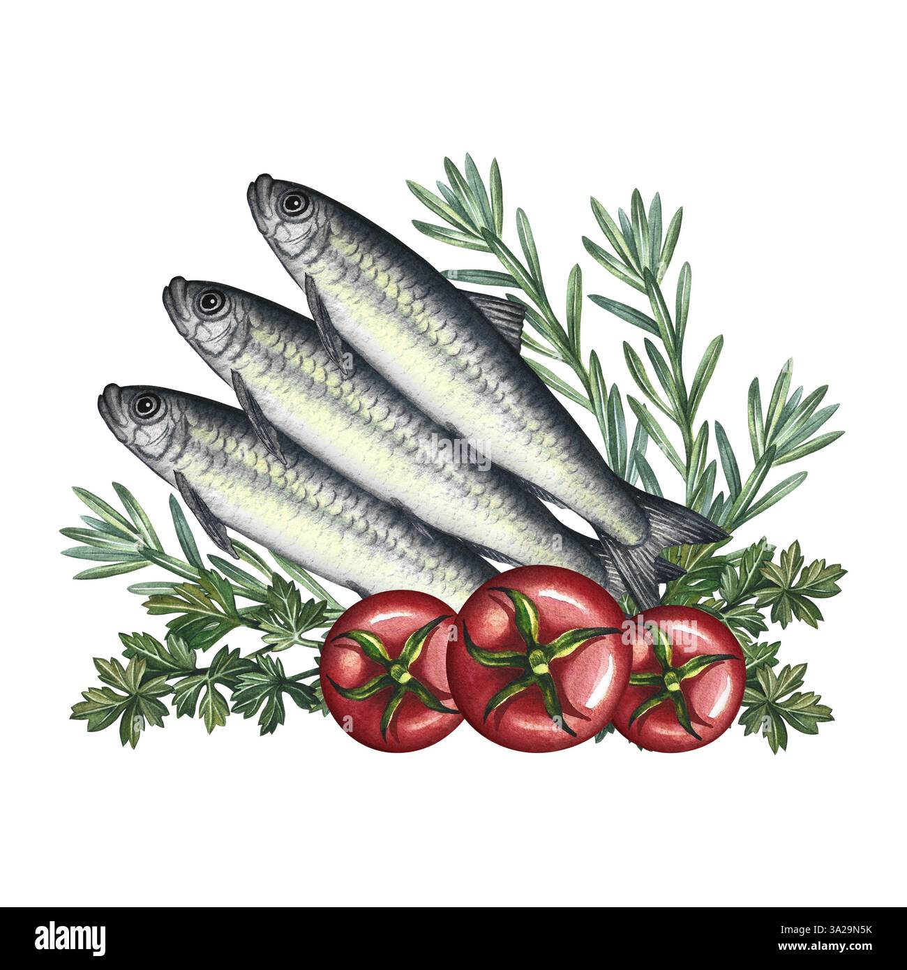 Sardine con erbe e pomodori. Illustrazione ad acquerello disegnata a mano. Un'immagine a colori di un piatto di pesce. Separato dallo sfondo. Per i menu, ricetta Foto Stock