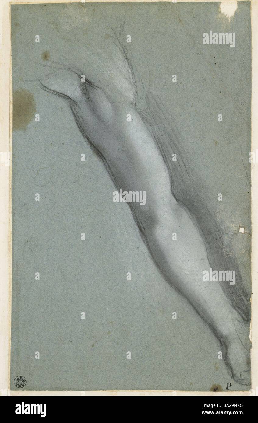 Un altro studio di Barocci sul braccio sinistro del Cristo crocifisso, incentrato sulla precisione anatomica e sulla potenza emotiva della figura, destinato alla Crocifissione nella Galleria Nazionale delle Marche di Urbino. Foto Stock