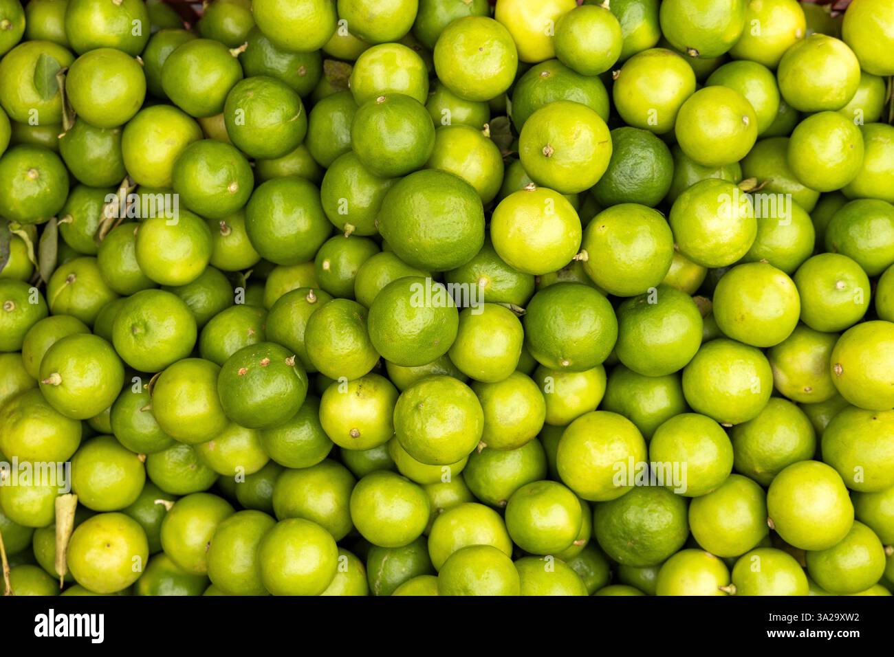 Mucchi di limes nella piazza del mercato colombiano - Citrus x aurantiifolia Foto Stock