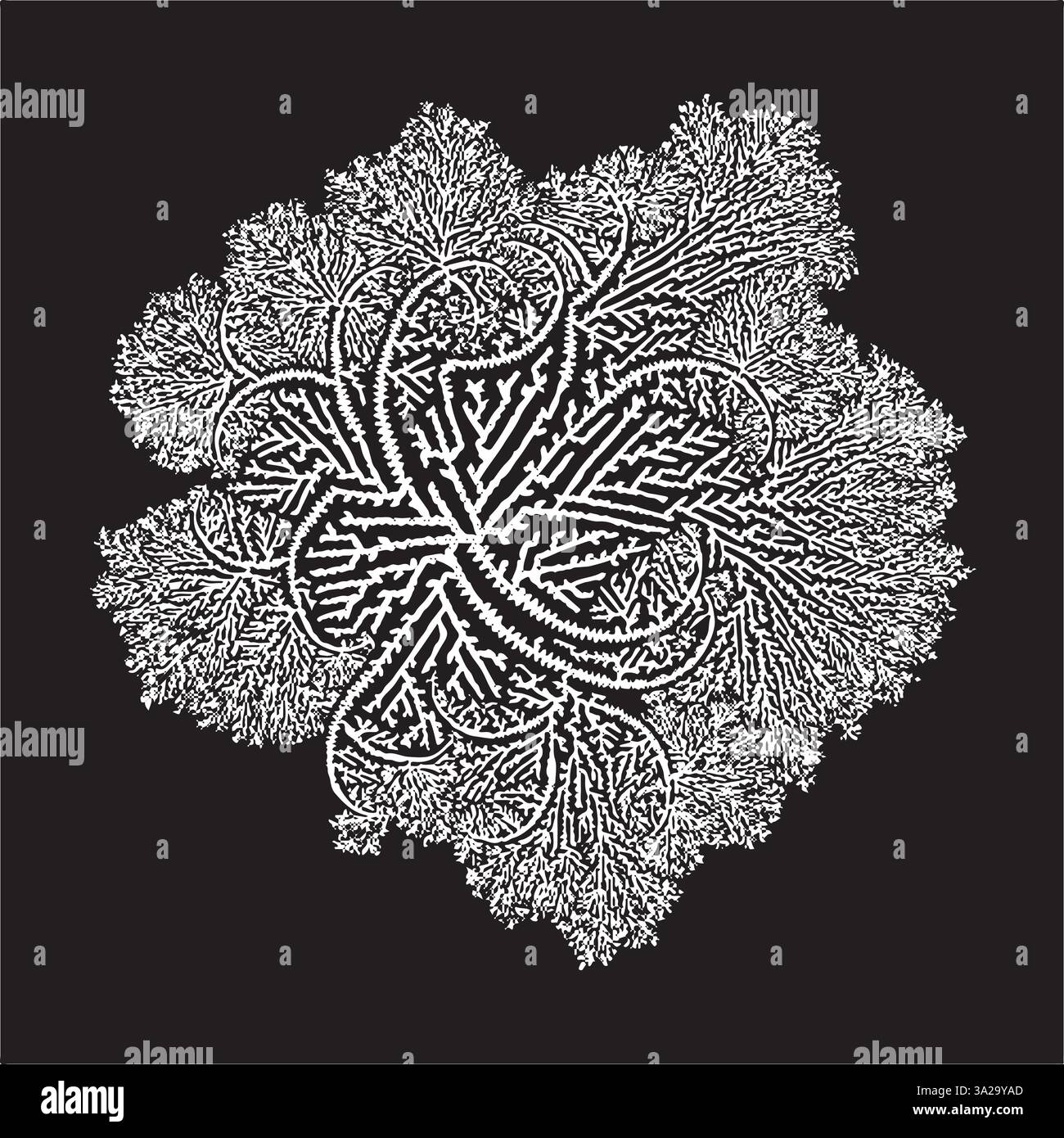 Fiori decorativi aster disegnati a mano, elementi di design. Può essere utilizzato per cartoline, inviti, banner, poster, stampe. Illustrazione Vettoriale