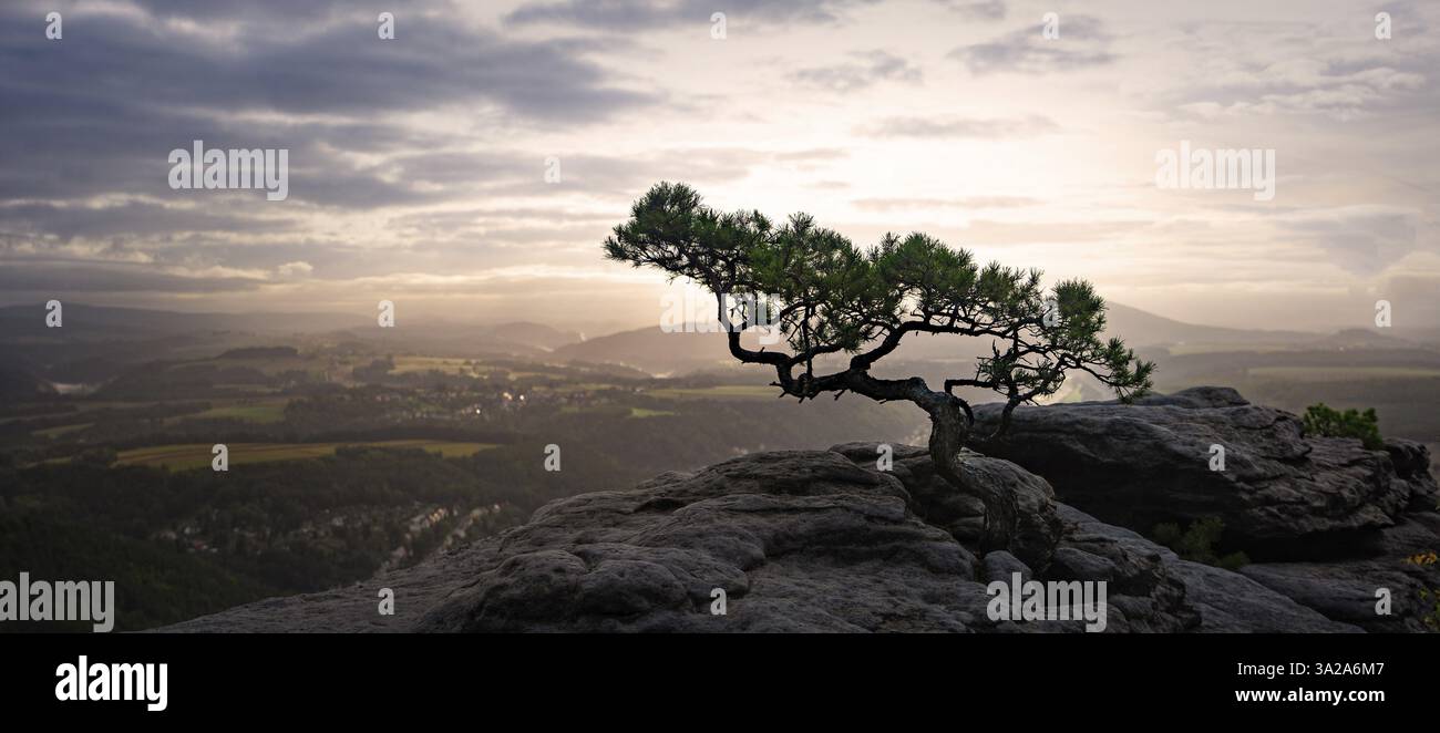 Bella alba nella Svizzera sassone Foto Stock