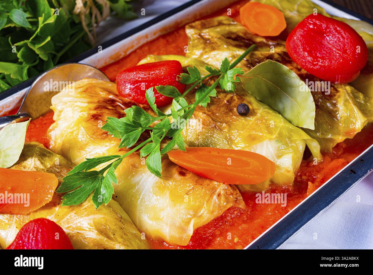Involtini di cavolo con salsa di pomodoro Foto Stock