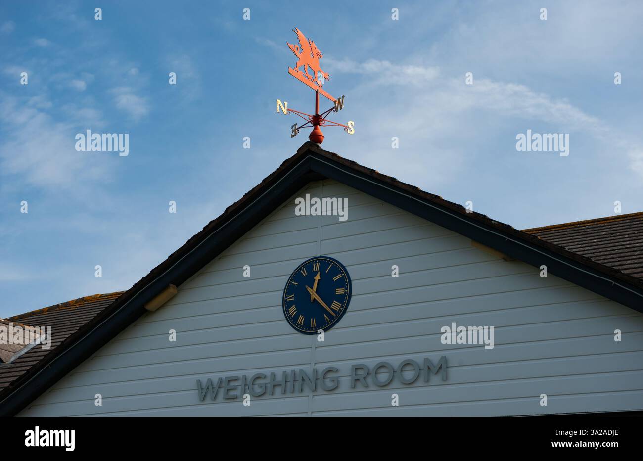 The Weather Vane all'ippodromo di Bangor-on-Dee. Crediti JTW equine Images / Alamy Foto Stock