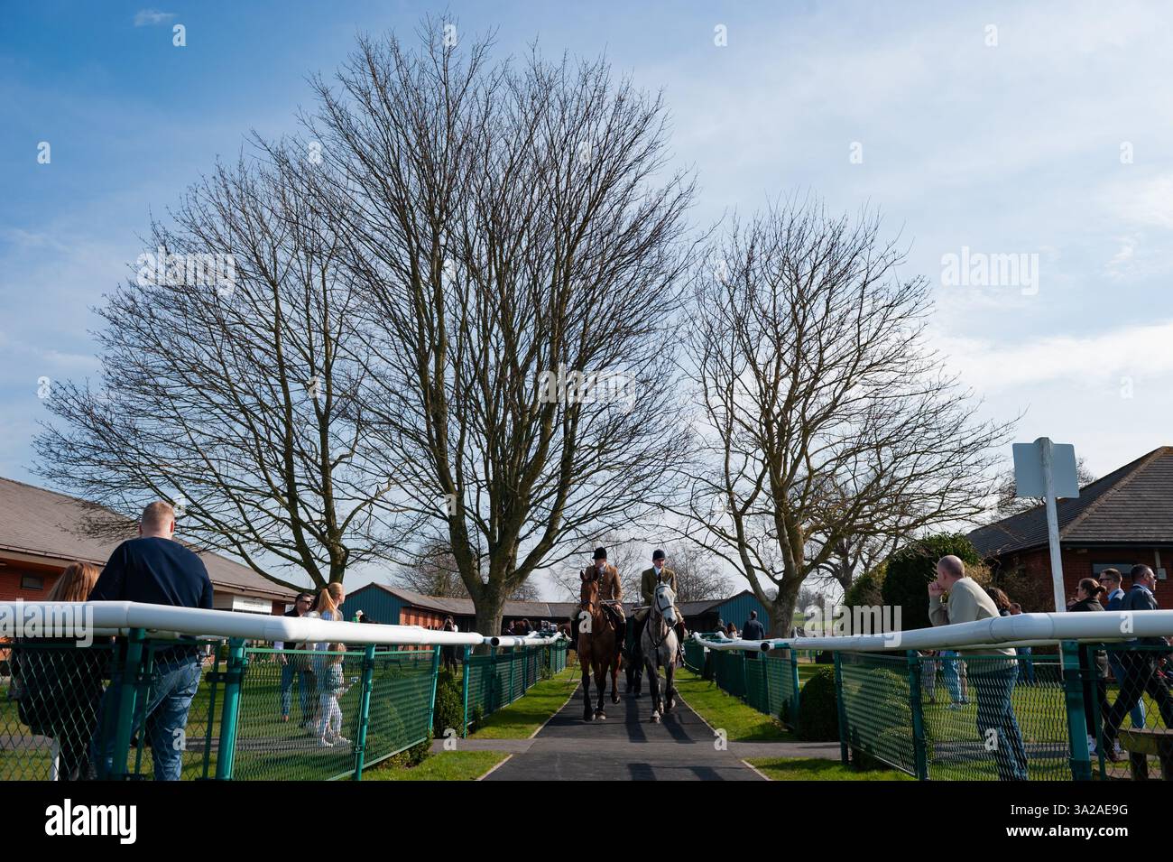 Un paio di Hunter Horses guidano i corridori fuori dall'anello della parata a Bangor on Dee. Crediti JTW equine Images / Alamy Foto Stock