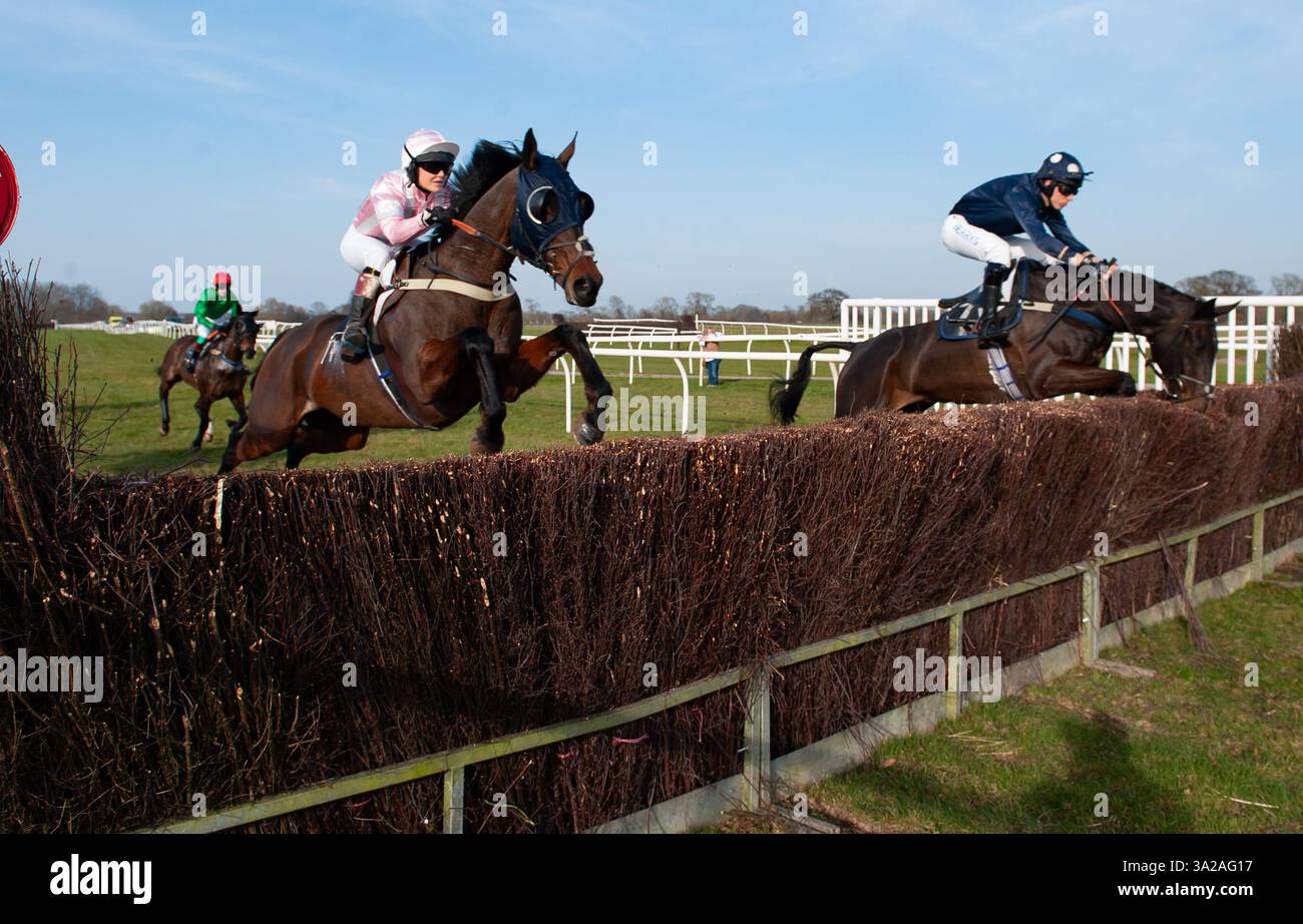 Blagthebookies durante una gara all'ippodromo di Bangor-on-Dee. Crediti JTW equine Images / Alamy Foto Stock
