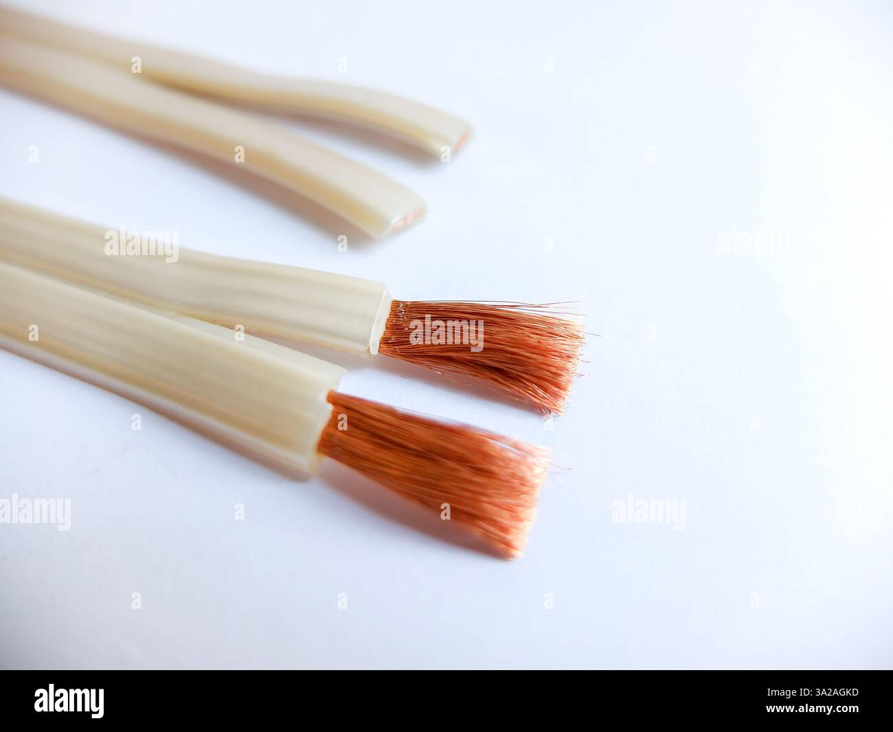 primo piano dei fili acustici su sfondo bianco. Foto Stock