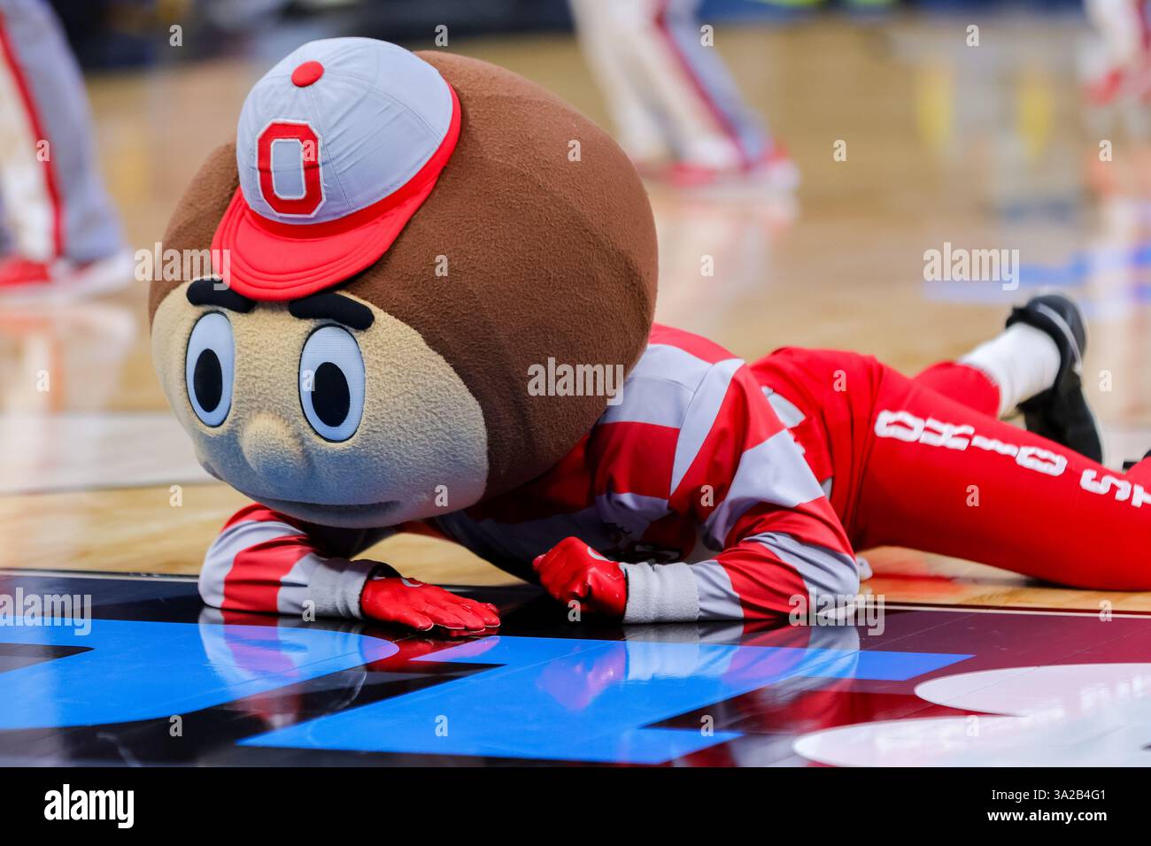 Indianapolis, Indiana, Stati Uniti. 12 marzo 2025. La mascotte degli Ohio State Buckeyes Brutus lucida il pavimento durante un timeout nella partita tra gli Iowa Hawkeyes e gli Ohio State Buckeyes al Gainbridge Fieldhouse, Indianapolis, Indiana. (Credit Image: © Scott Stuart/ZUMA Press Wire) SOLO PER USO EDITORIALE! Non per USO commerciale! Foto Stock