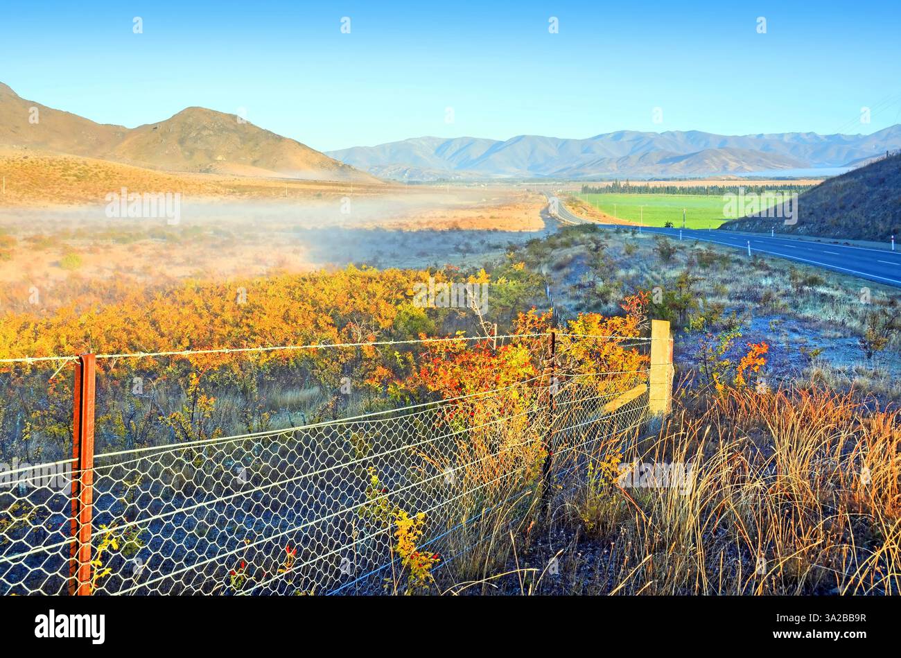 La tonalità autunnali di Central Otago in colline e rose selvatiche Hip boccole sono evidenziati dalla prima luce. La distanza è la nebbia di mattina e il Foto Stock